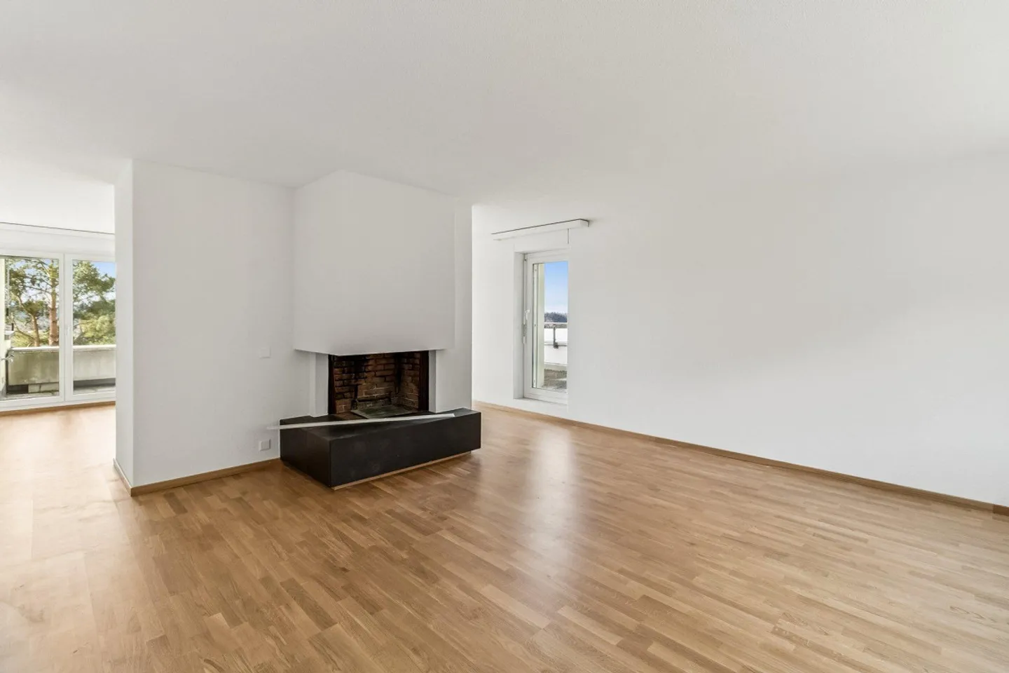 Vivere spazioso vicino all'Uetliberg - Foto 3 di 8