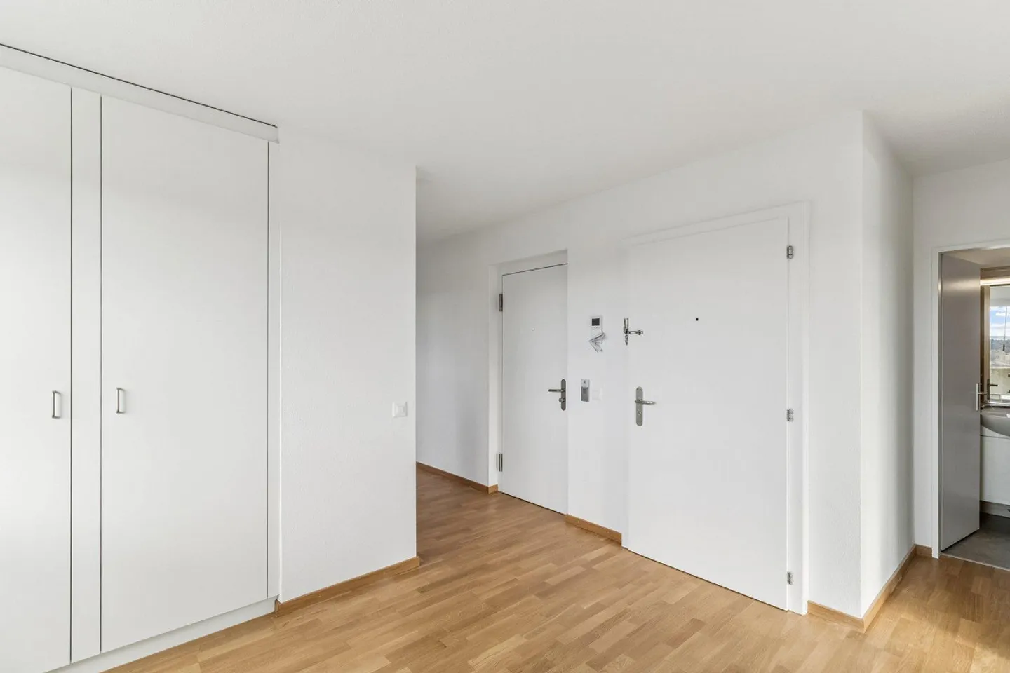 Vivere spazioso vicino all'Uetliberg - Foto 8 di 8