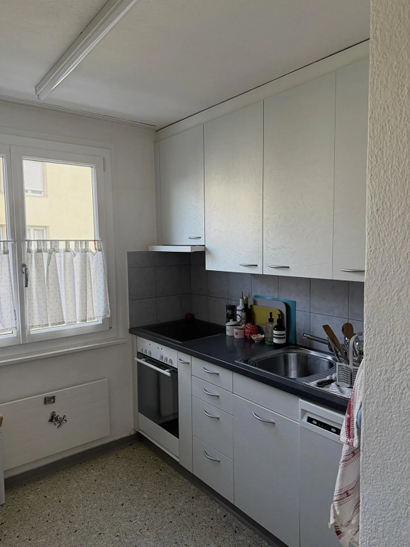 Appartement spacieux de 4 pièces à Ebikon - Photo 1 sur 8