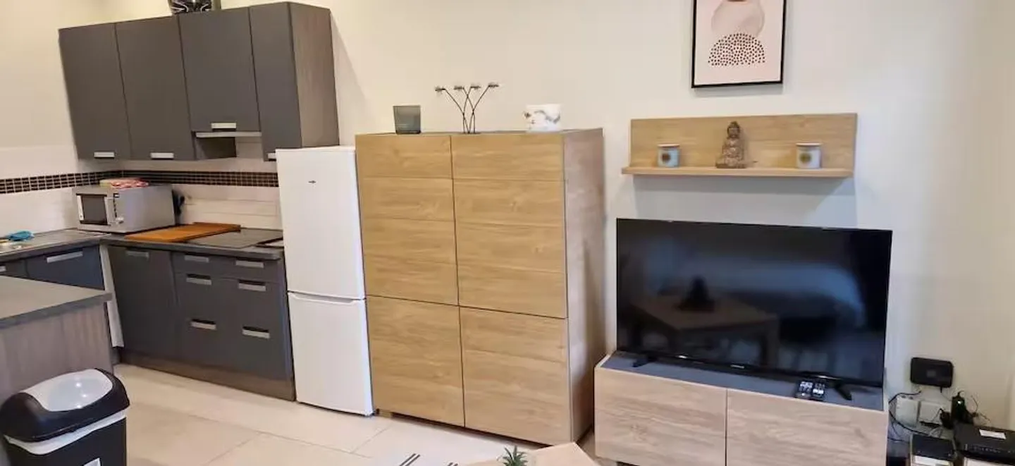 Appartement 1,5 pièce, entièrement meublé 31m² - Photo 3 of 5