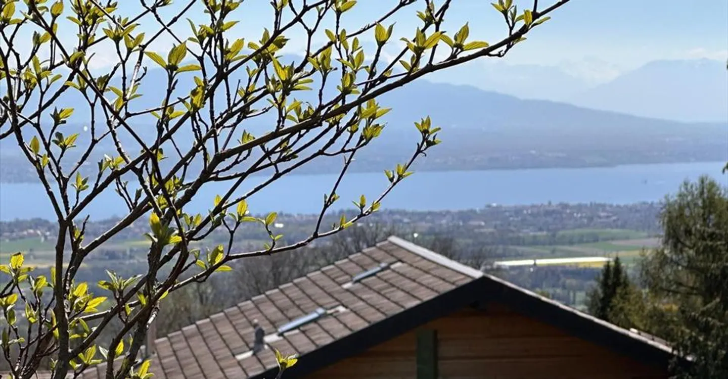Individual house of 7.5 rooms with lake and mountain view - Photo 8 of 13