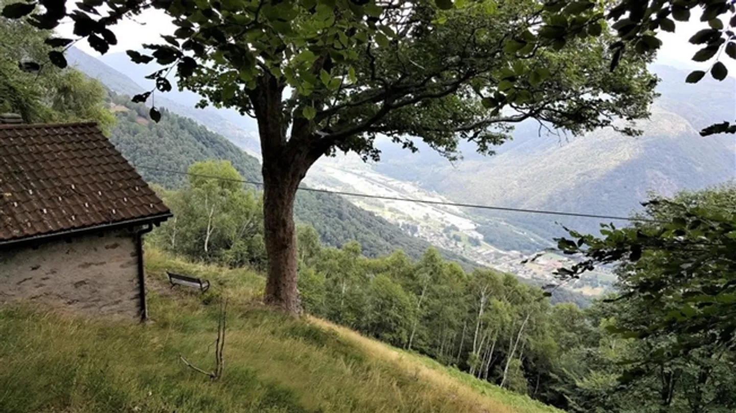 Da Torricella - private Straße A la Roda - Foto 6 von 11