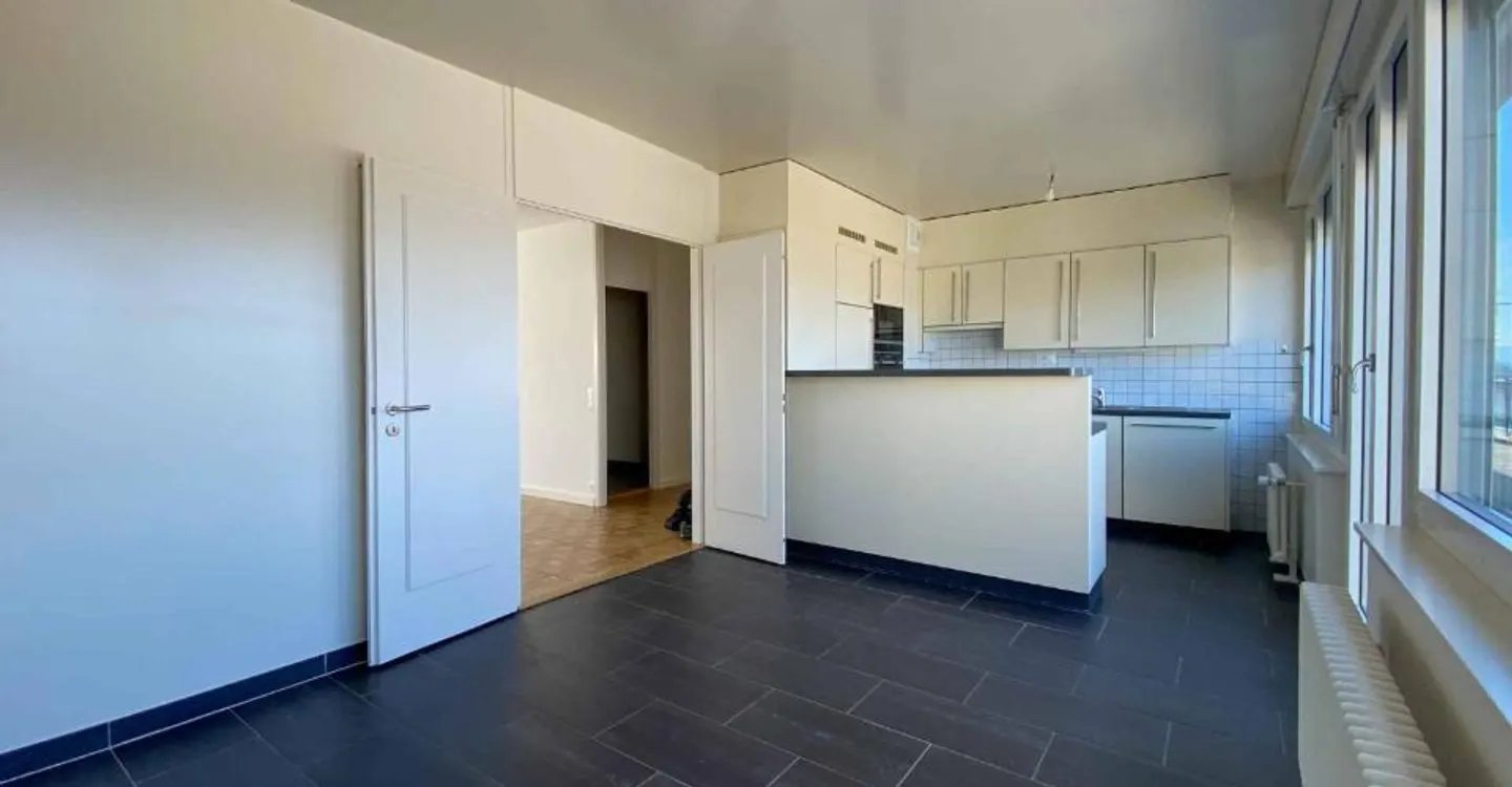 Renovierte 9,5-Zimmer-Wohnung in Grand-Lancy - Foto 8 von 13