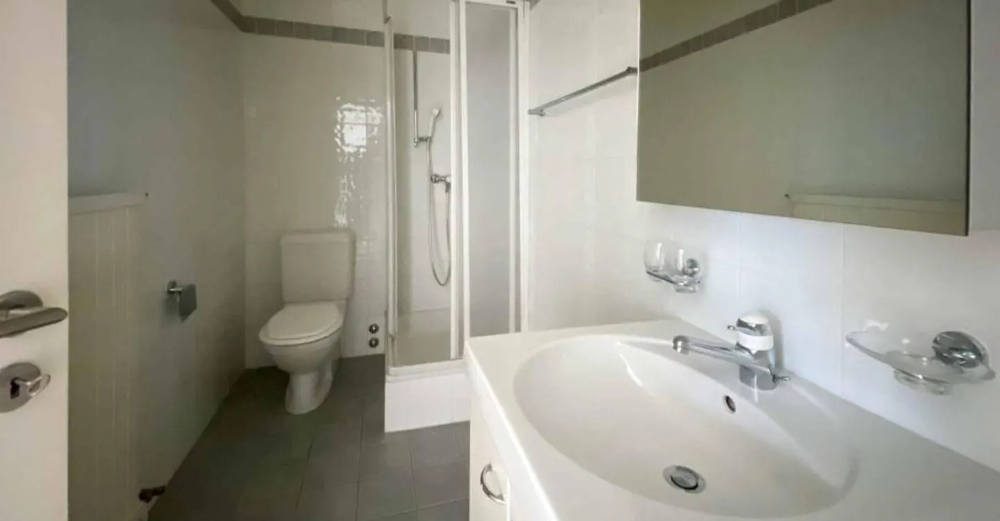 Renovierte 9,5-Zimmer-Wohnung in Grand-Lancy - Foto 11 von 13