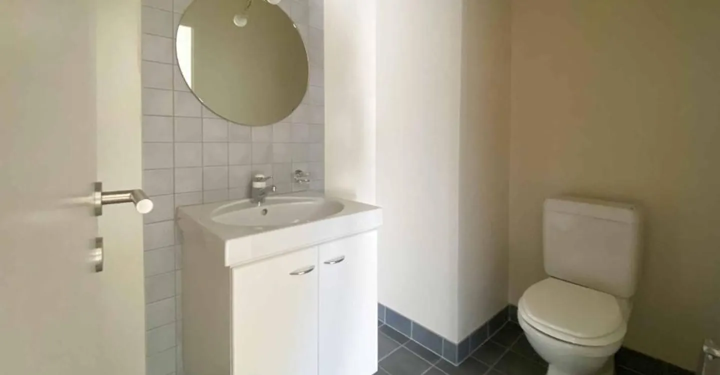 Renovierte 9,5-Zimmer-Wohnung in Grand-Lancy - Foto 12 von 13