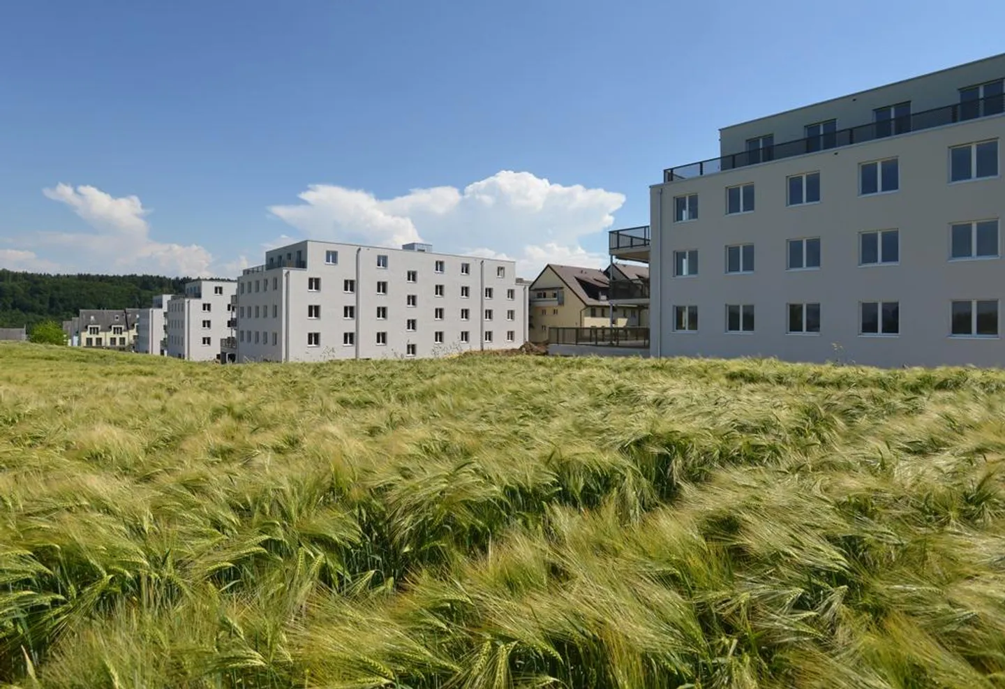 Modernes Apartment mit sonnigem Balkon - Foto 1 von 6