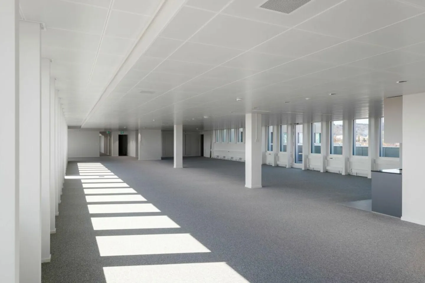 Friesenberg75 : Espace pour la concentration - Place pour le succès - Photo 2 sur 14
