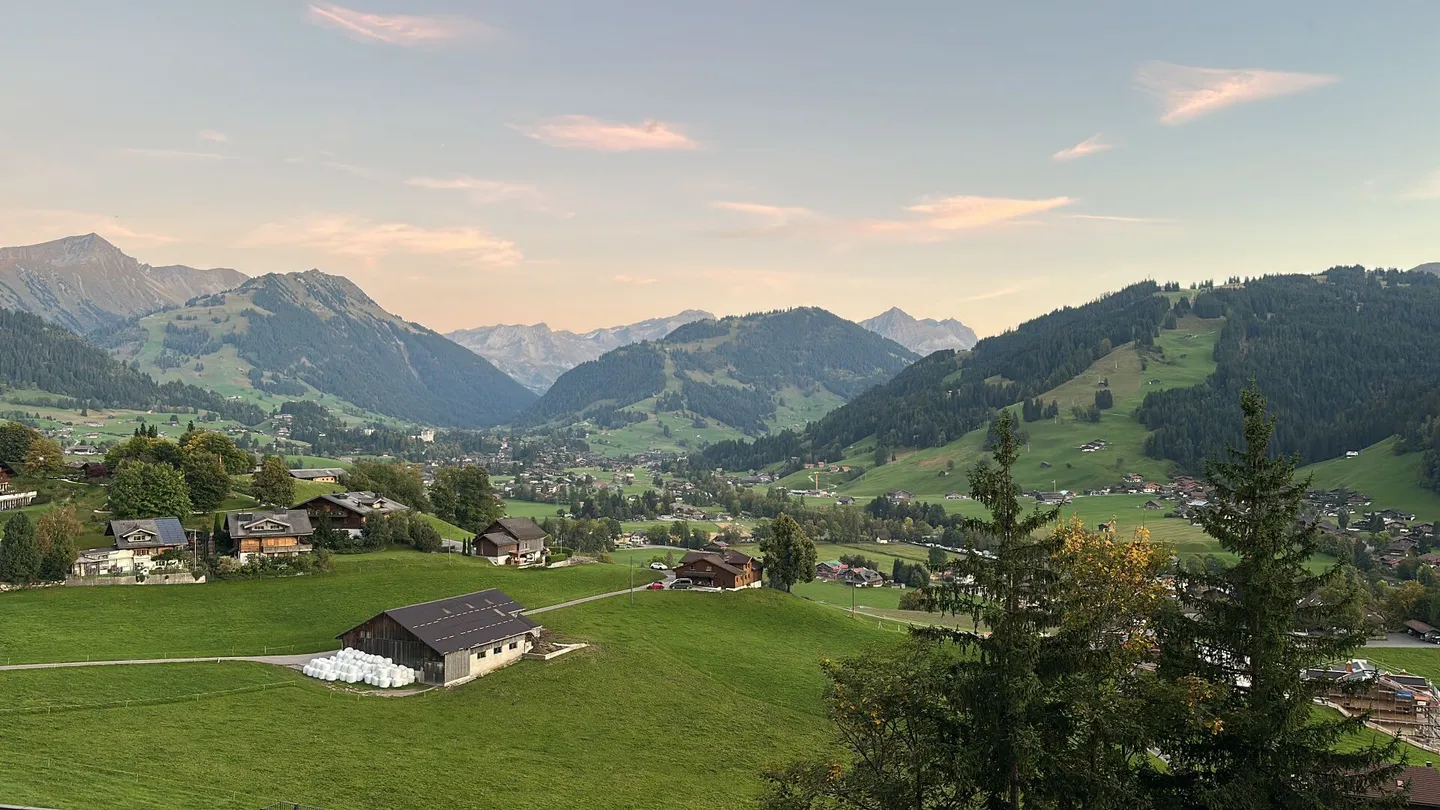 1-Bedroom apartment with fantastic view in Saanen for seasonal rent Summer 2026 - Photo 9 of 9