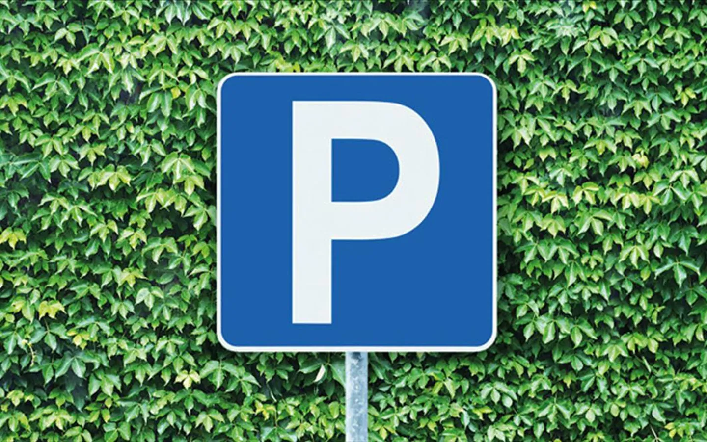 Abstellplatz in Zürich Oerlikon - Foto 1 von 1