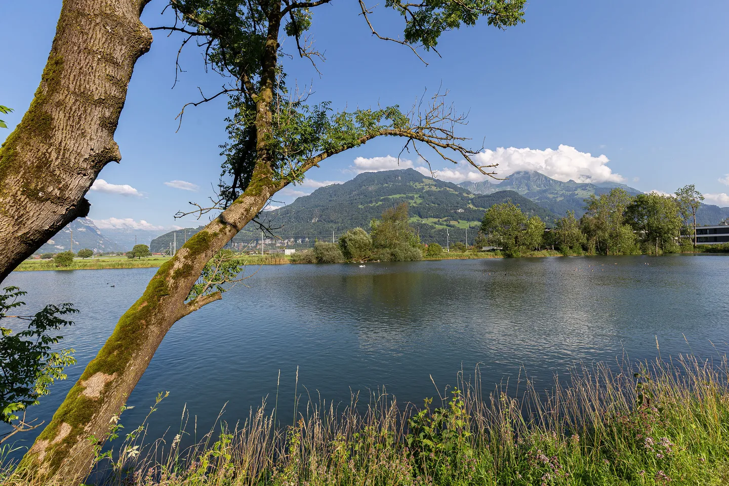 Charmante Wohnung mit Weiherblick - Foto 2 von 10