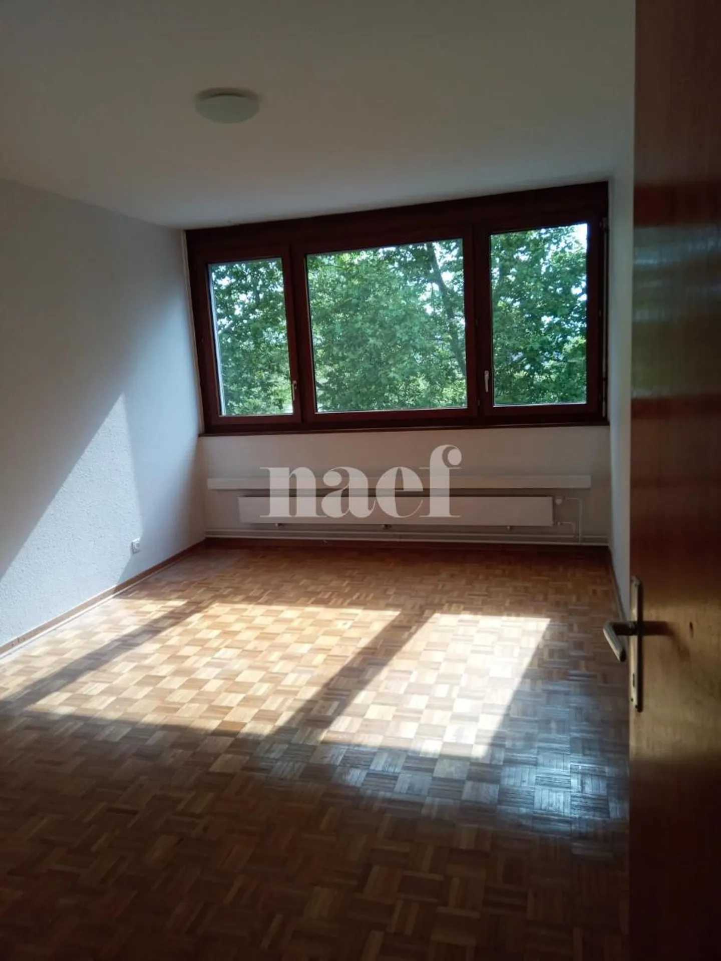 3.5 Room Apartment - Photo 4 of 5