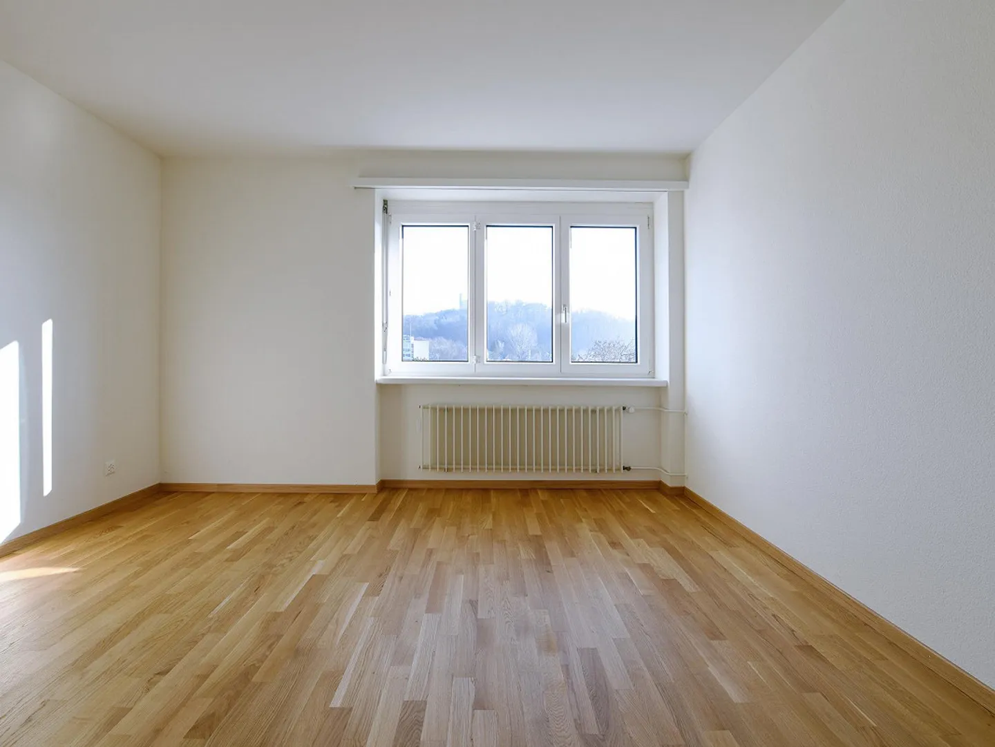 Charmante Wohnung in Binningen - Foto 4 von 5