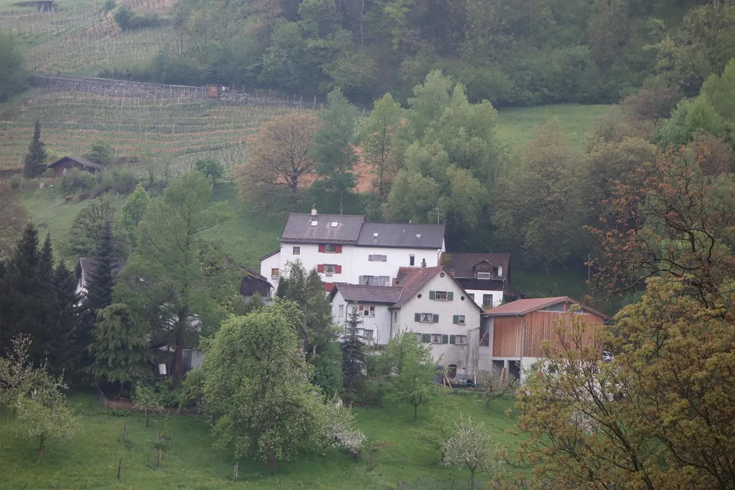 Charmantes Wohnhaus in ruhiger Lage - Foto 3 von 15