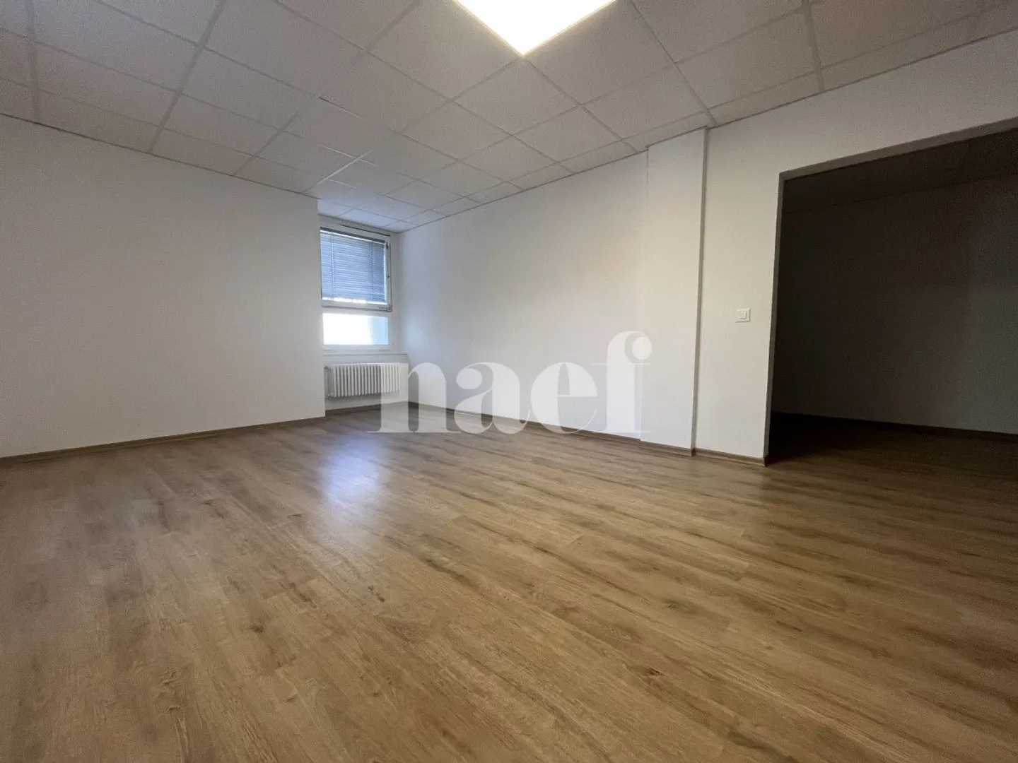 Ampio studio ristrutturato - Foto 7 di 7