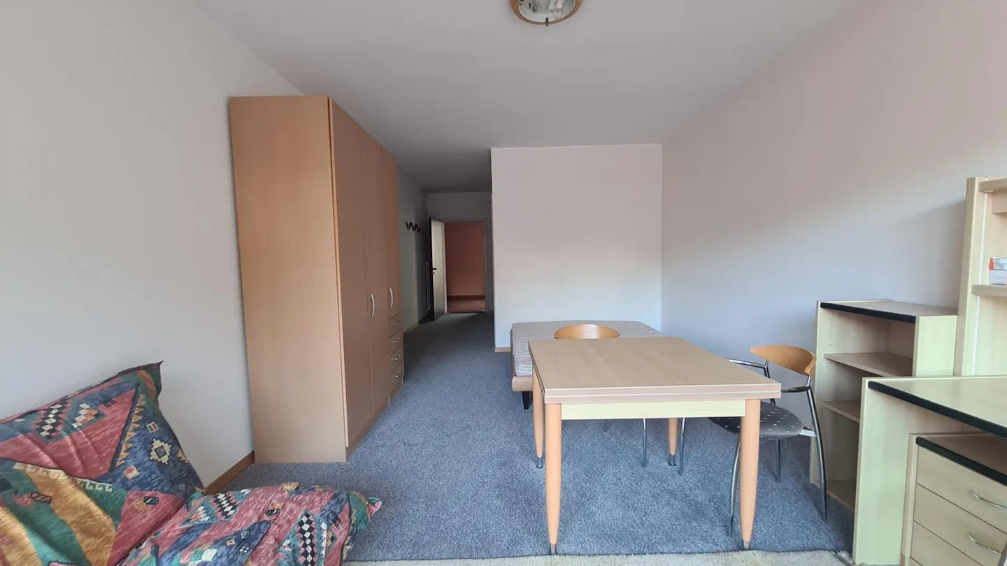 Renovated studio apartment with balcony in Mendrisio - Photo 7 of 12