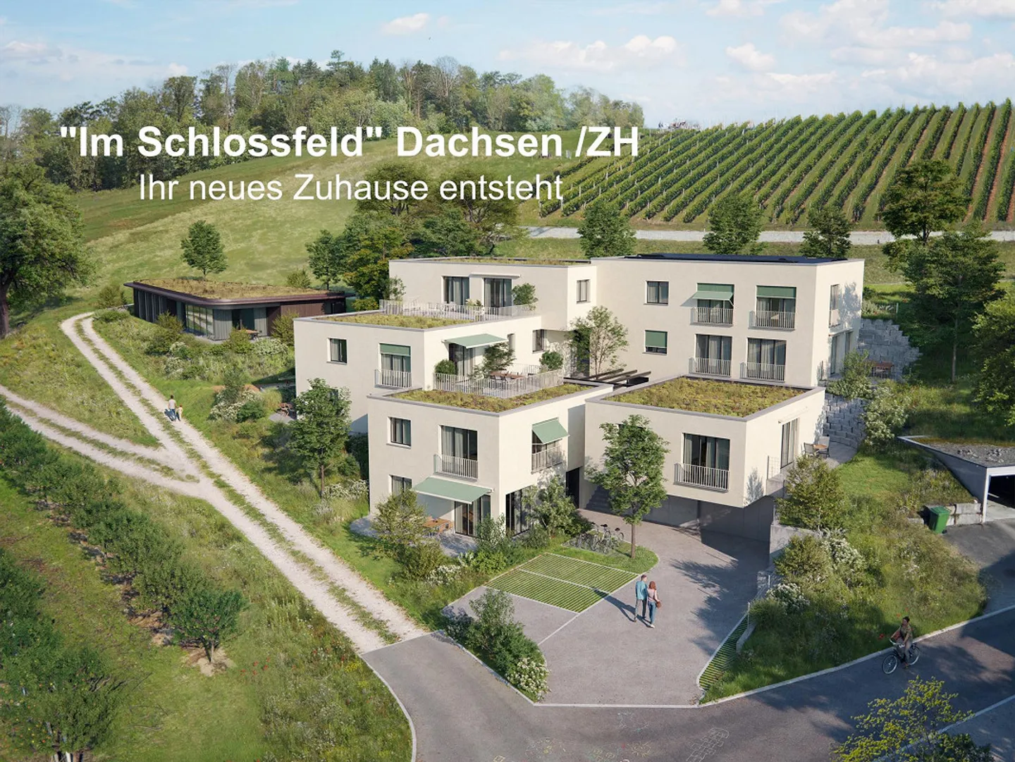 Condominio esclusivo di 2,5 stanze a Dachsen con vista panoramica - Foto 2 di 7