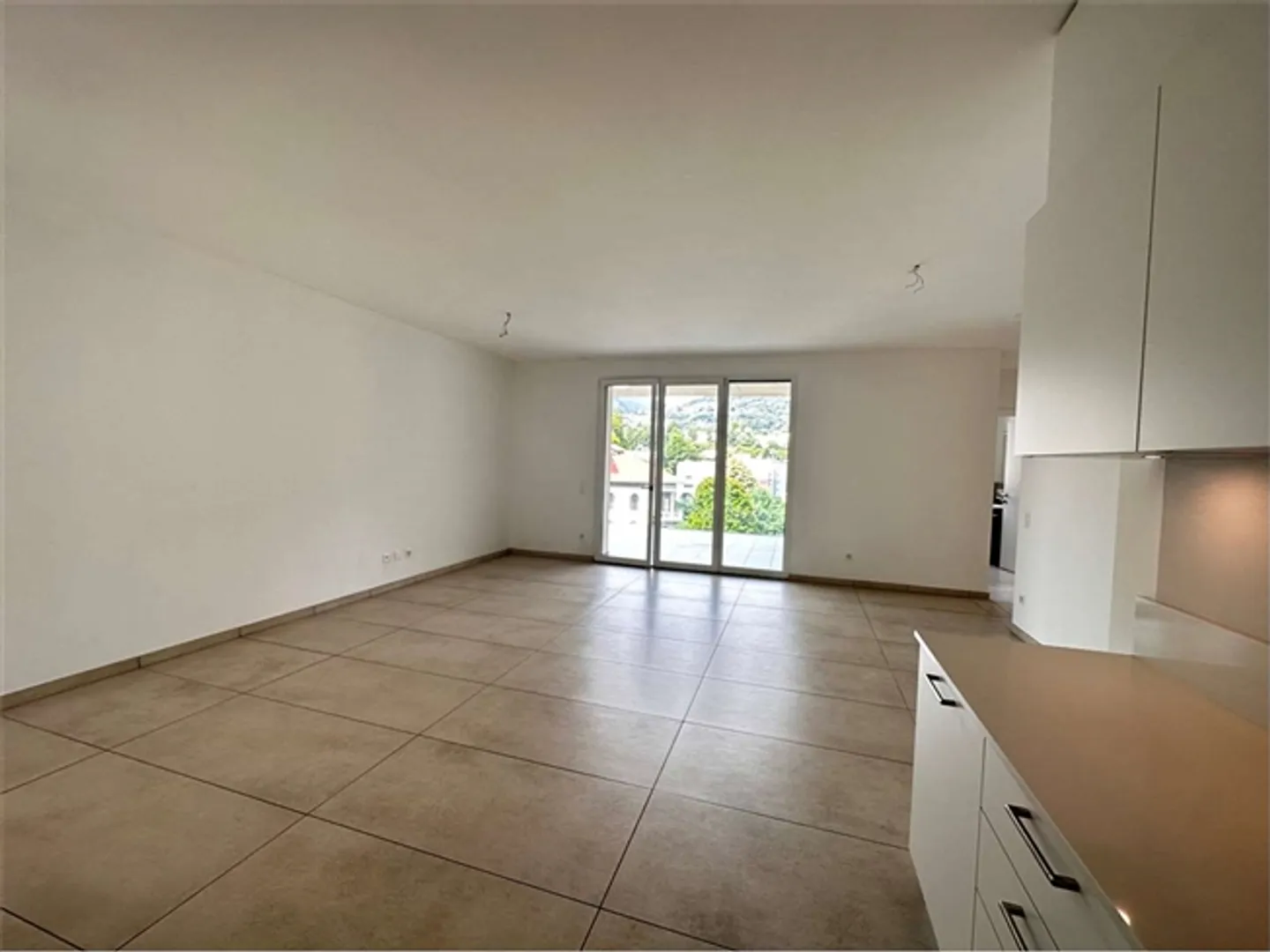 Large 4.5-room apartment with terrace - Photo 8 of 20