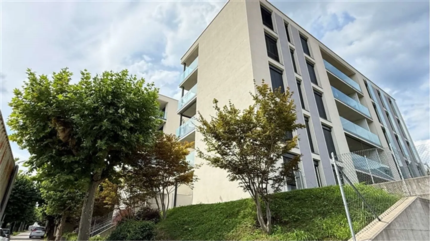 Large 4.5-room apartment with terrace - Photo 18 of 20