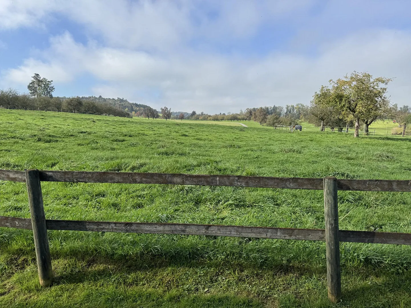 Appartamento 2,5 locali (58m2) nel verde con terrazza e giardino d'inverno - Foto 4 di 13