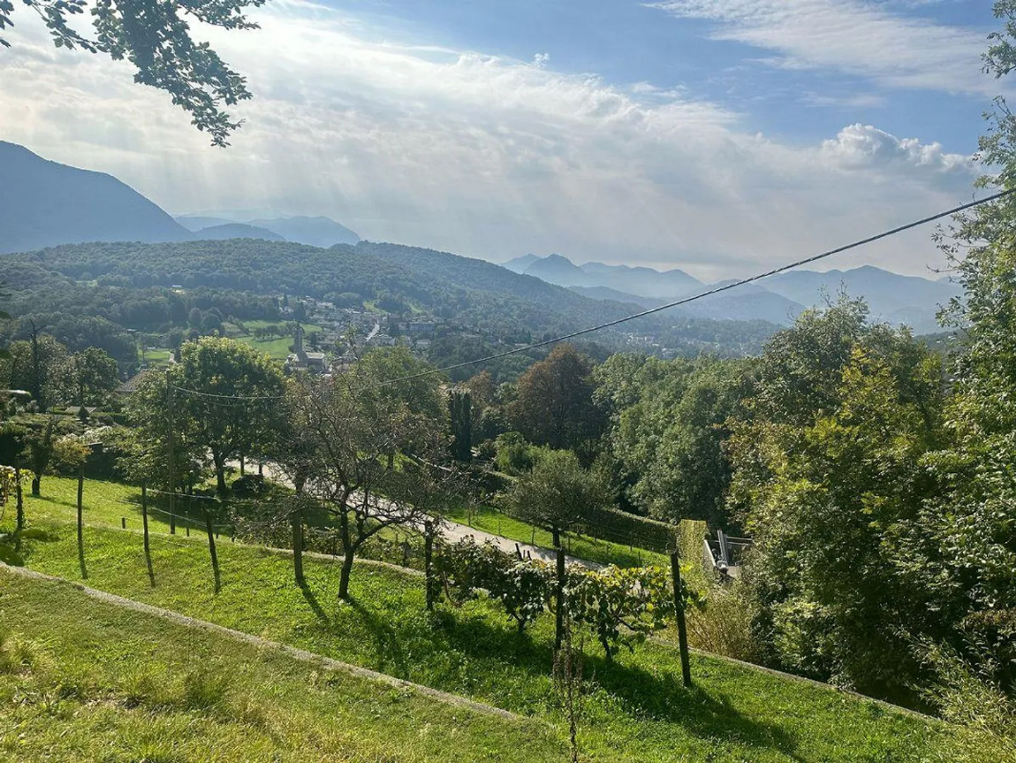 Baugrundstück in Sala Capriasca - Foto 1 von 3