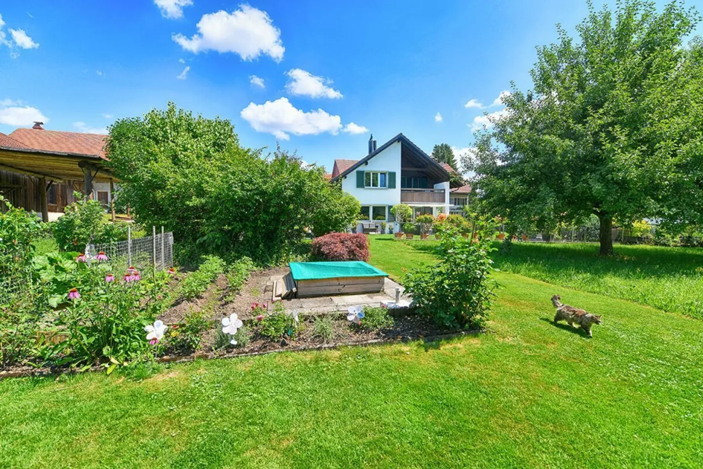 Gepflegtes 5.5-Zimmer EFH mit Gartenparadies - Photo 20 of 23