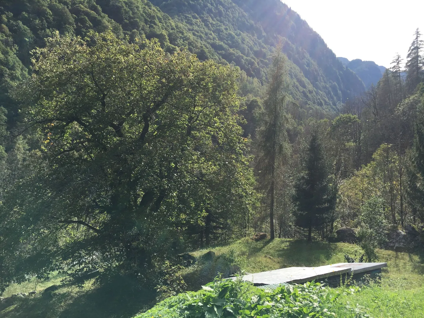 Rustico Rückzugsort in der Natur - Foto 14 von 19
