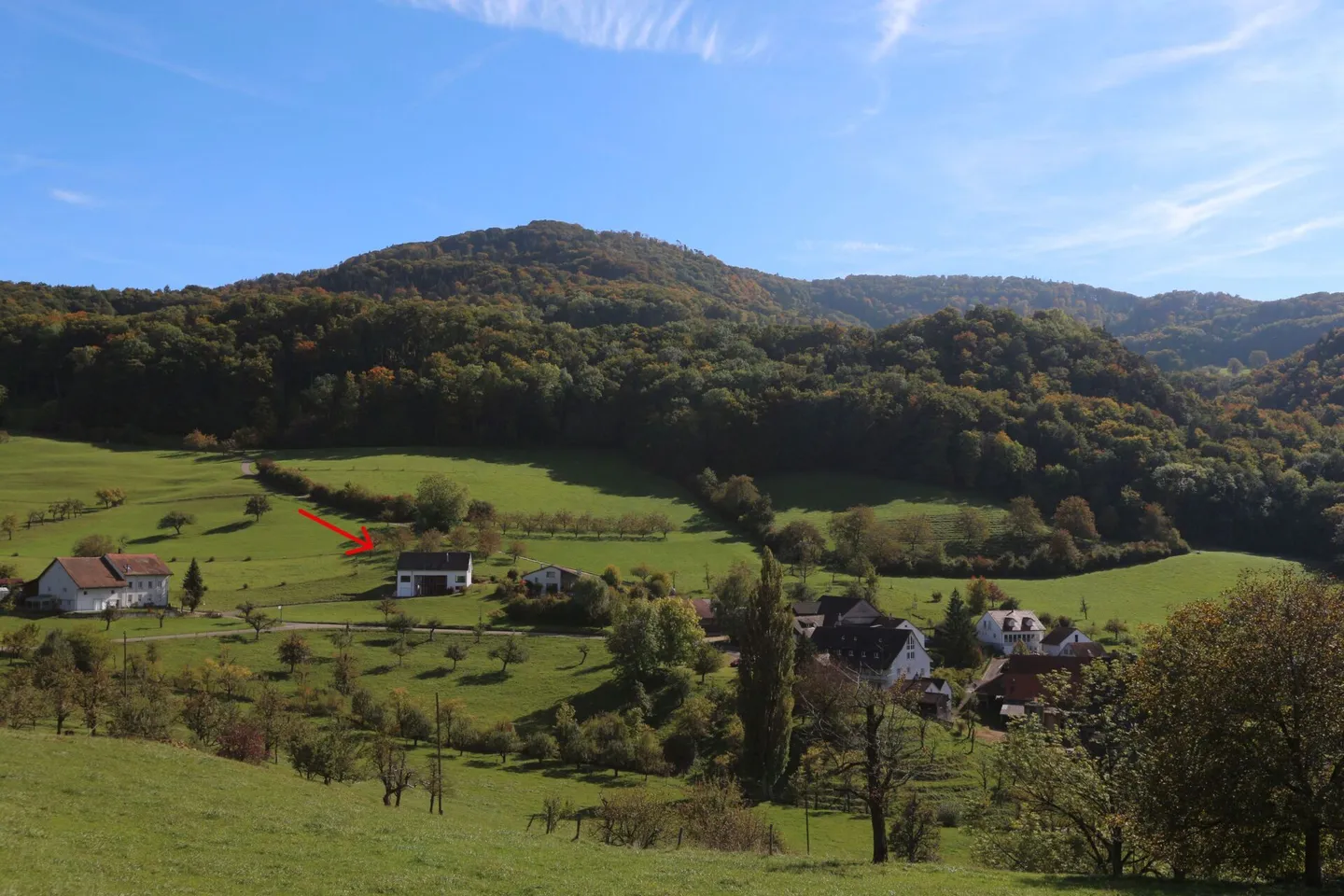 Eine Wohn-Oase unweit von Sissach - Foto 1 von 26