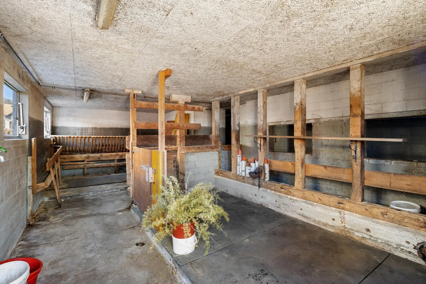 HISTORICAL GEM WITH GREAT DEVELOPMENT POTENTIAL IN PRIME LOCATION - Photo 26 of 39