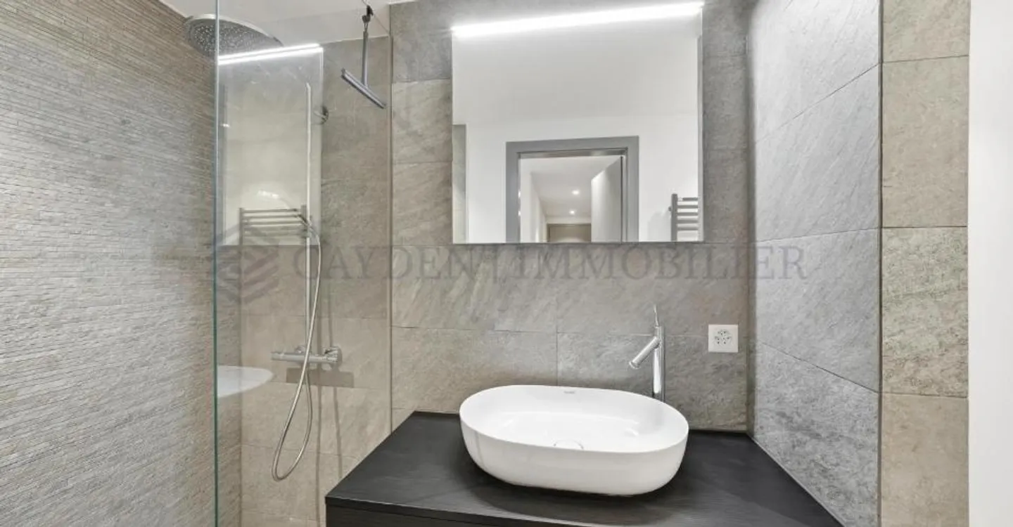 Appartamento 5.5 stanze - Foto 8 di 13