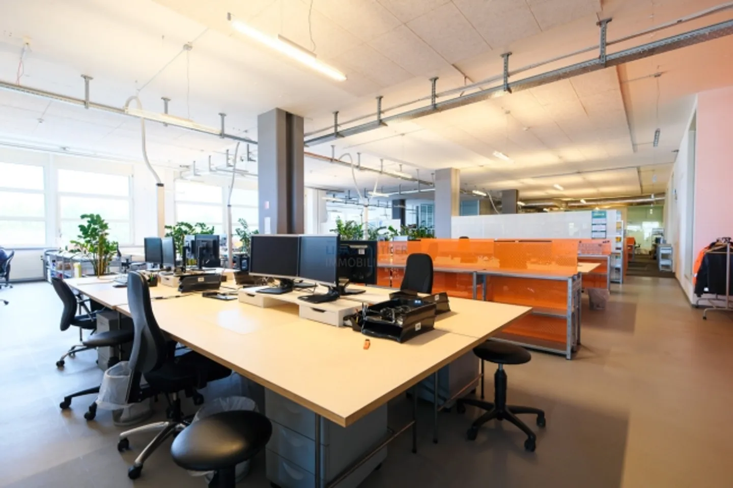 Sous-location - Espaces de bureau et de stockage directement sur le Rhin - Photo 6 sur 10