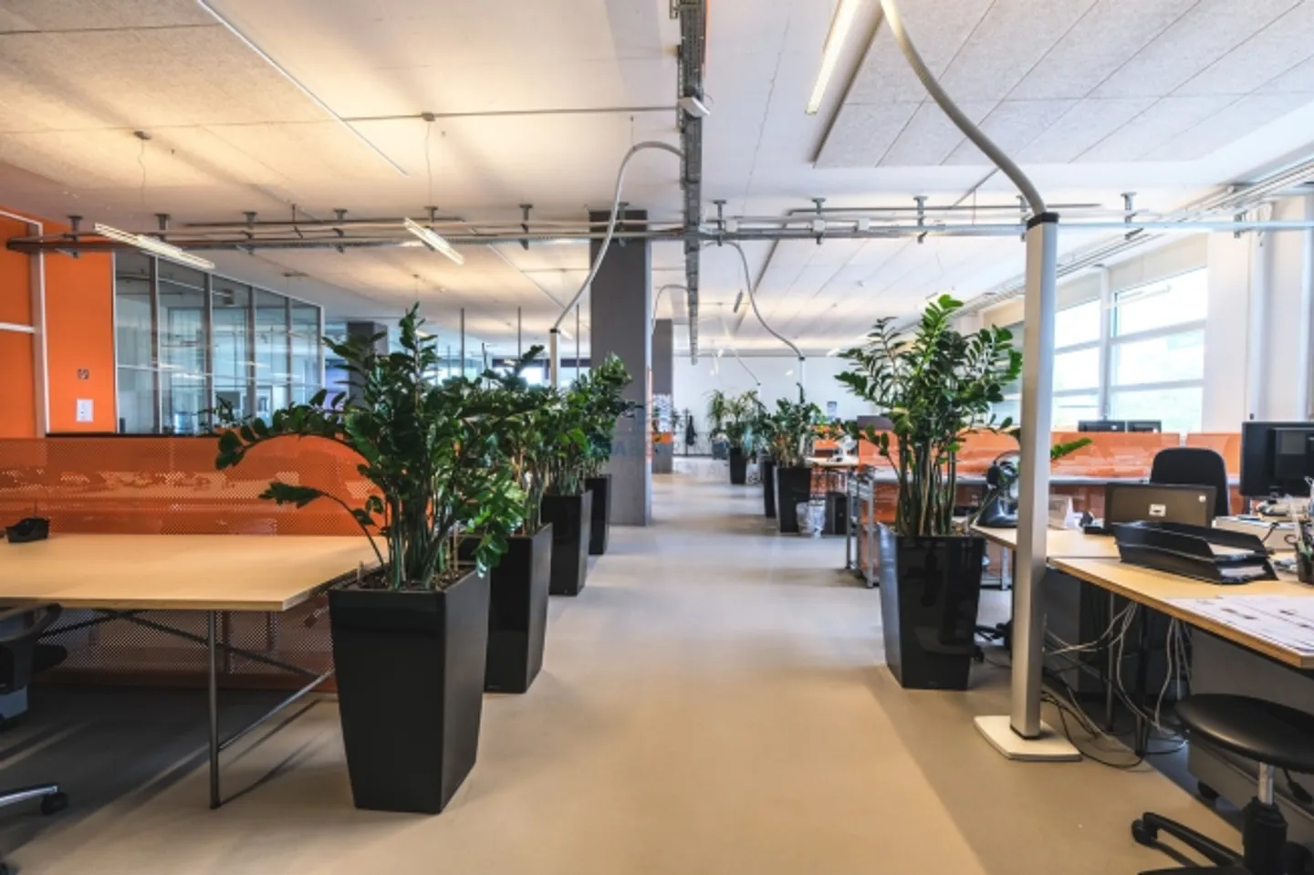 Sous-location - Espaces de bureau et de stockage directement sur le Rhin - Photo 7 sur 10