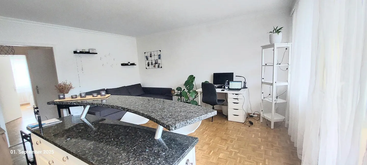 Bright 2.5-room apartment with large balcony, kitchen with breakfast bar - Photo 3 of 9