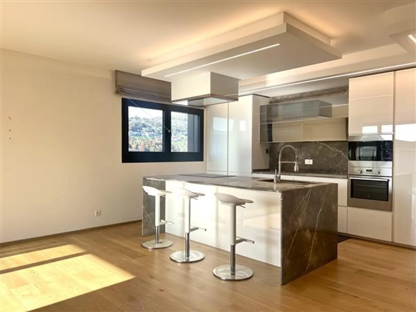 Pregassona: 4.5 Room Penthouse - Photo 2 of 13