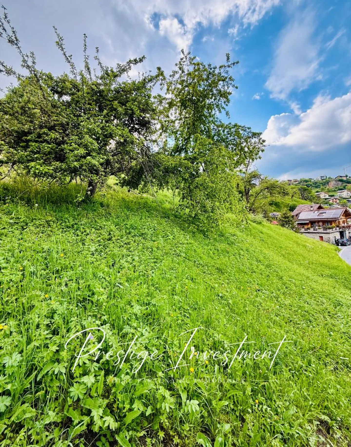 TERRENO EDIFICABILE 2648 M2, VEX - Foto 7 di 7