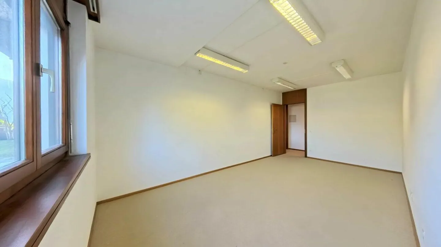 Ufficio fronte lago a Paradiso - Foto 7 di 12