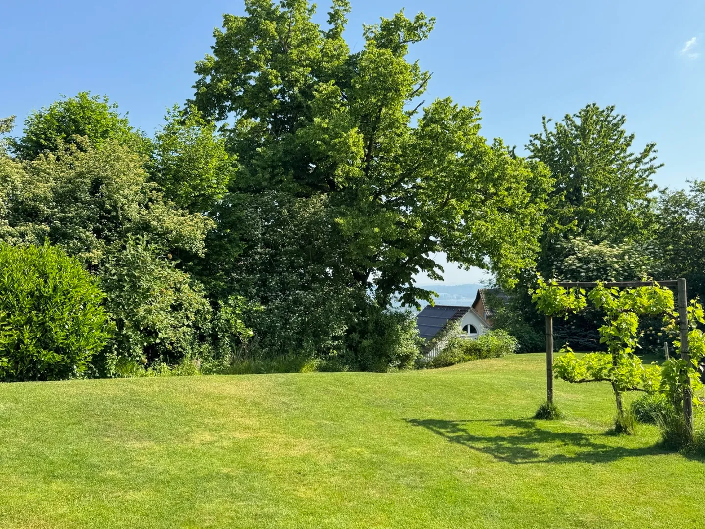 Gepflegtes Riegelhaus mit Traumgarten &amp; Weitsicht - ausbaubar - Foto 3 von 12