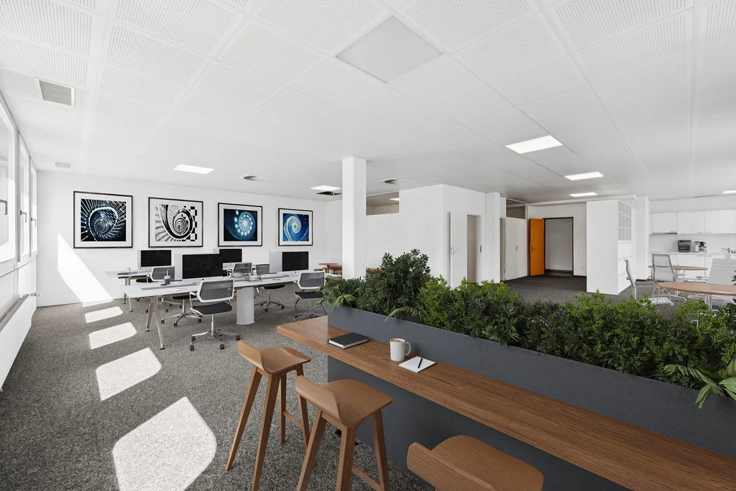 Commercial and administrative spaces in the city center - Photo 5 of 12