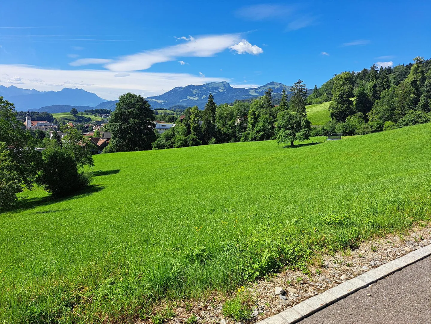 Terrain à bâtir avec vue sur Altstätten et la vallée du Rhin - Photo 4 sur 5