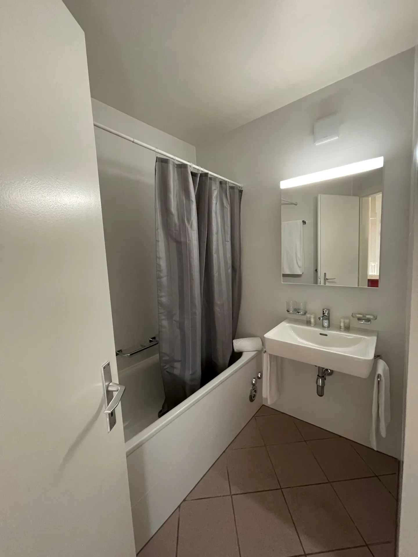 Renovated 3.5 Room Apartment - Photo 9 of 10