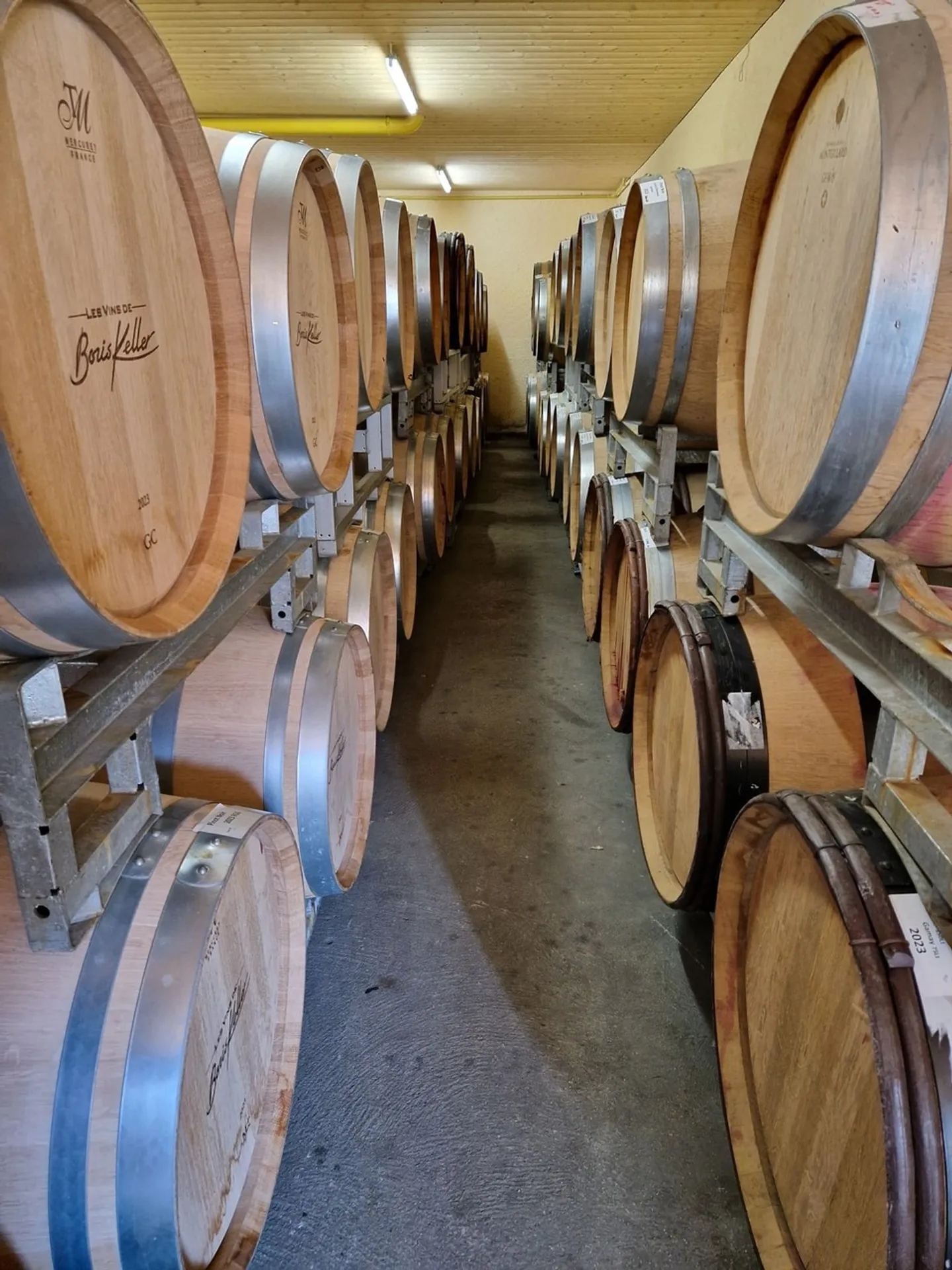 Cantina rinomata sul lago di Neuchâtel - Foto 2 di 18