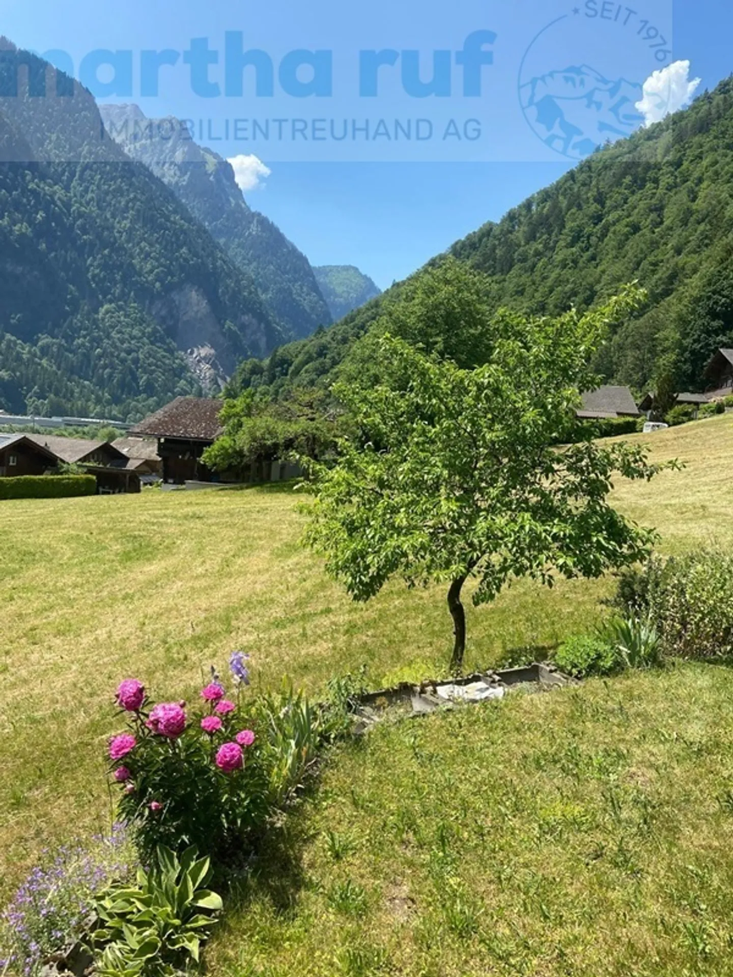 Vivere a contatto con la natura in una posizione idilliaca - Foto 18 di 23