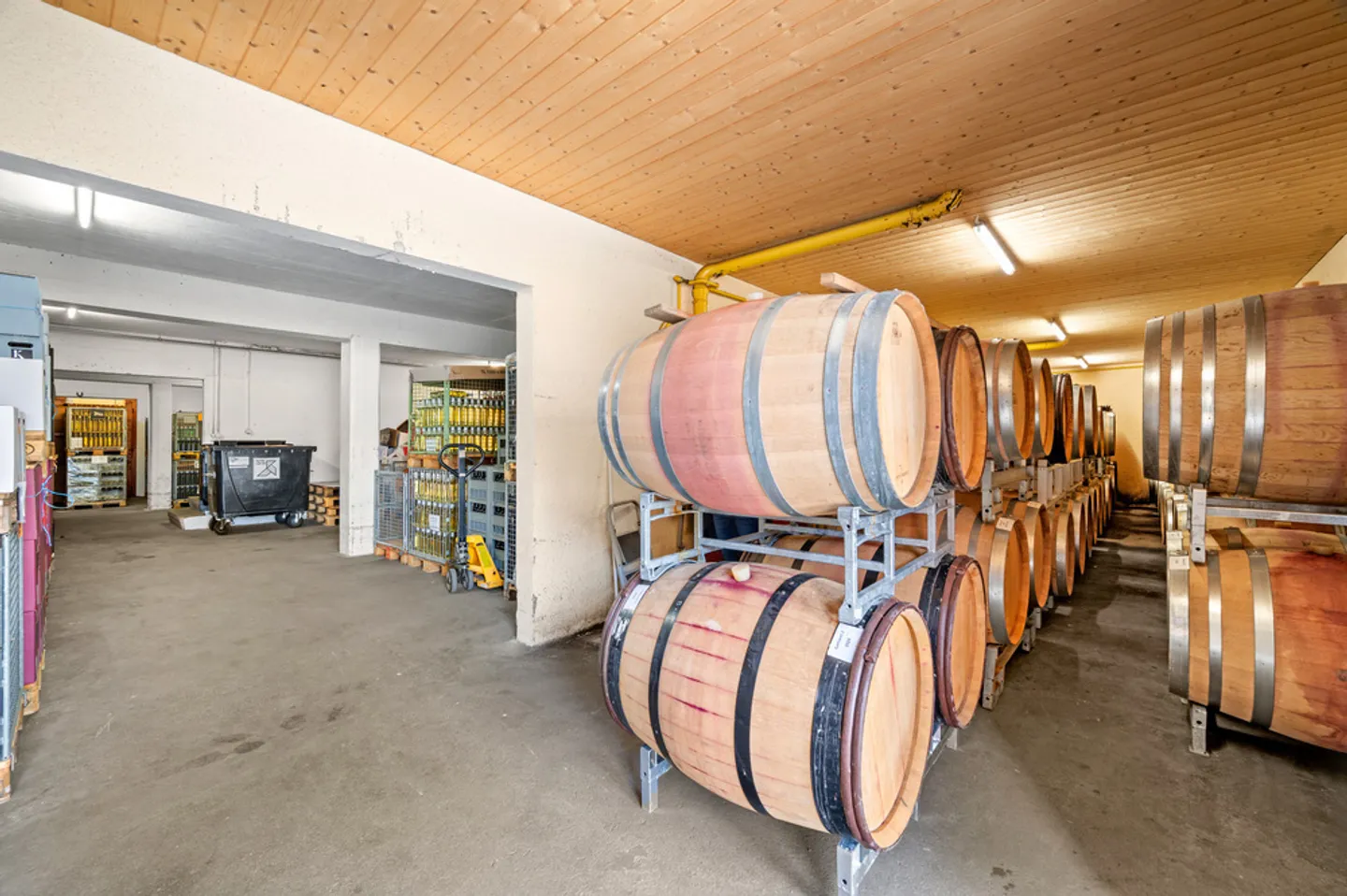 Cantina rinomata sul lago di Neuchâtel - Foto 15 di 18