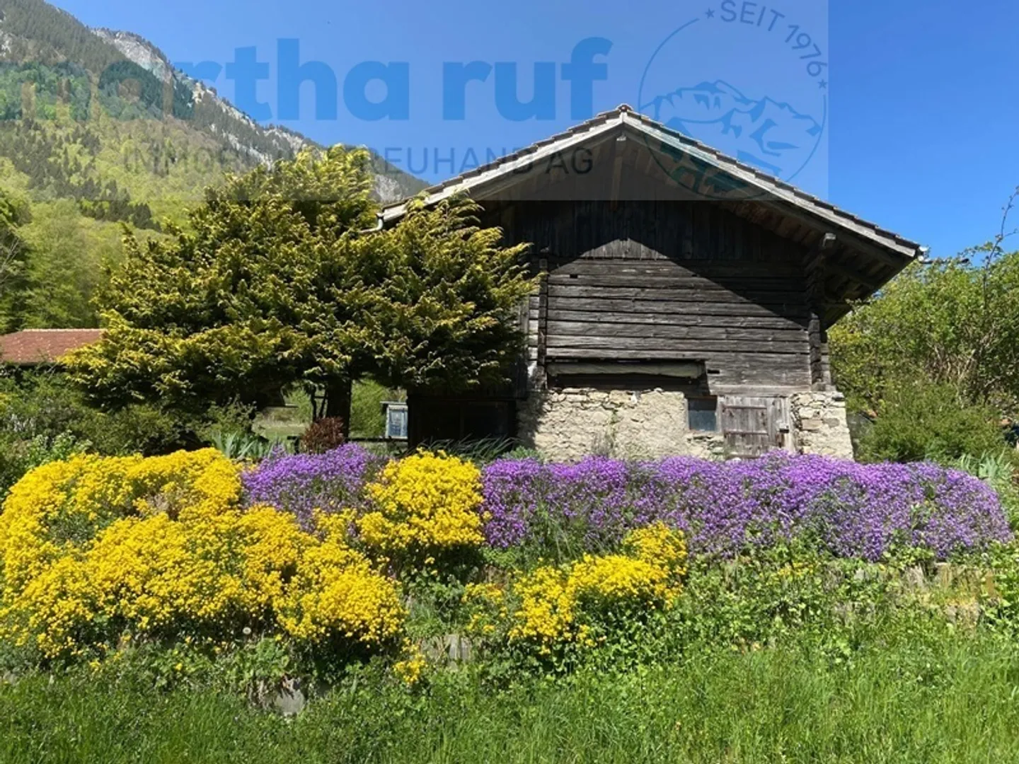 Vivere a contatto con la natura in una posizione idilliaca - Foto 20 di 23