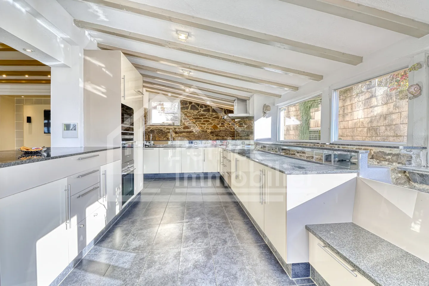 Terraced house 5.5 rooms, lake view, outdoor kitchen and 2 garages! - Photo 5 of 13