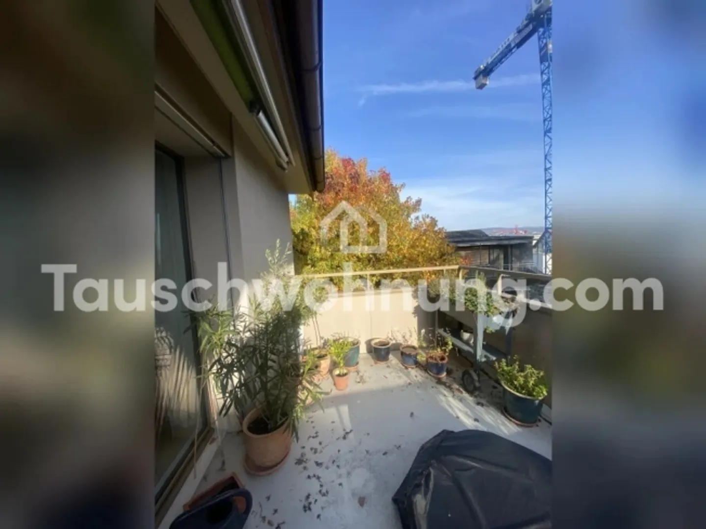 Appartamento in affitto - Foto 8 di 9