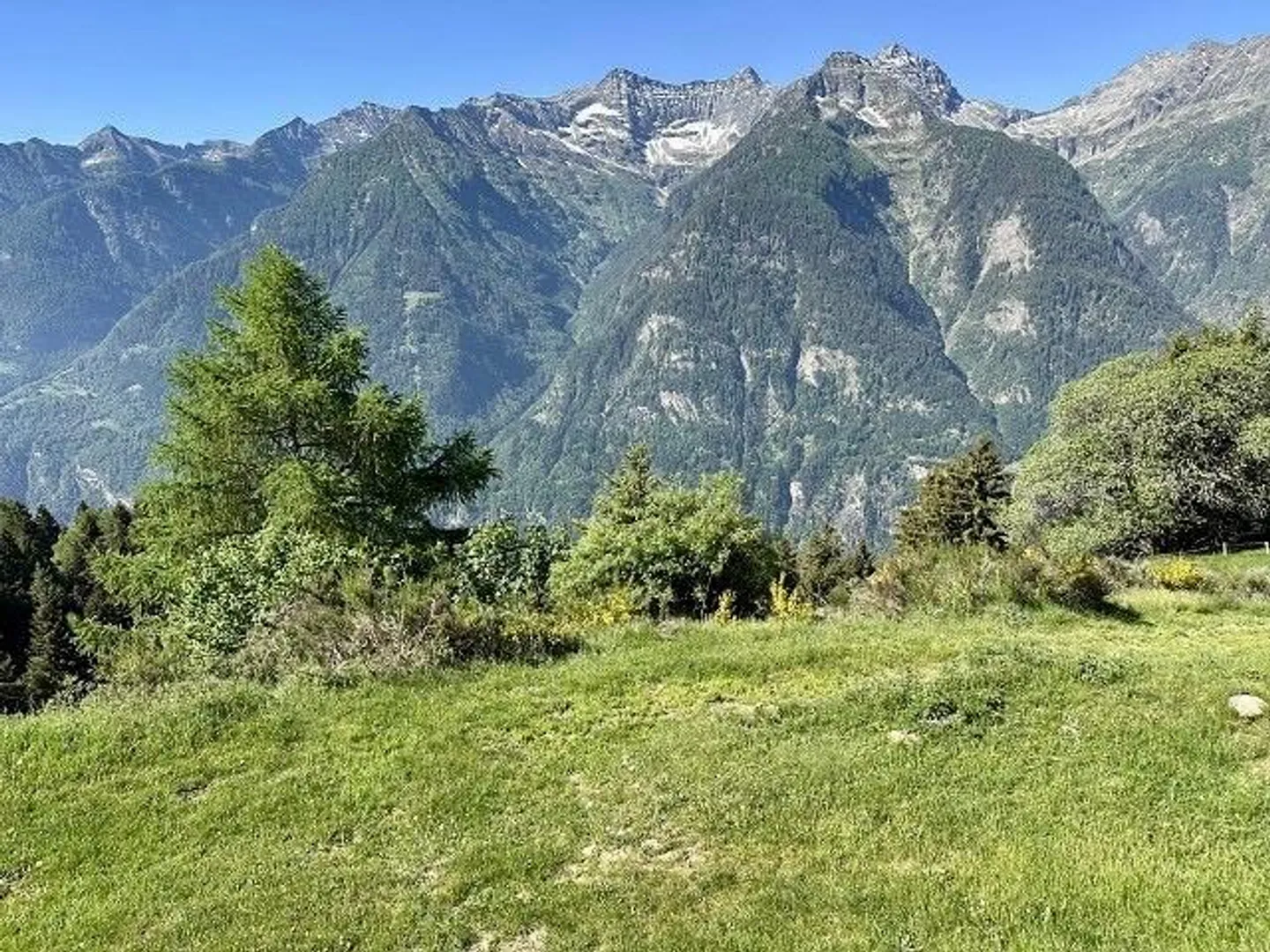 Chalet rustique de 6 1/2 pièces avec vue panoramique sur les montagnes - Photo 2 sur 14