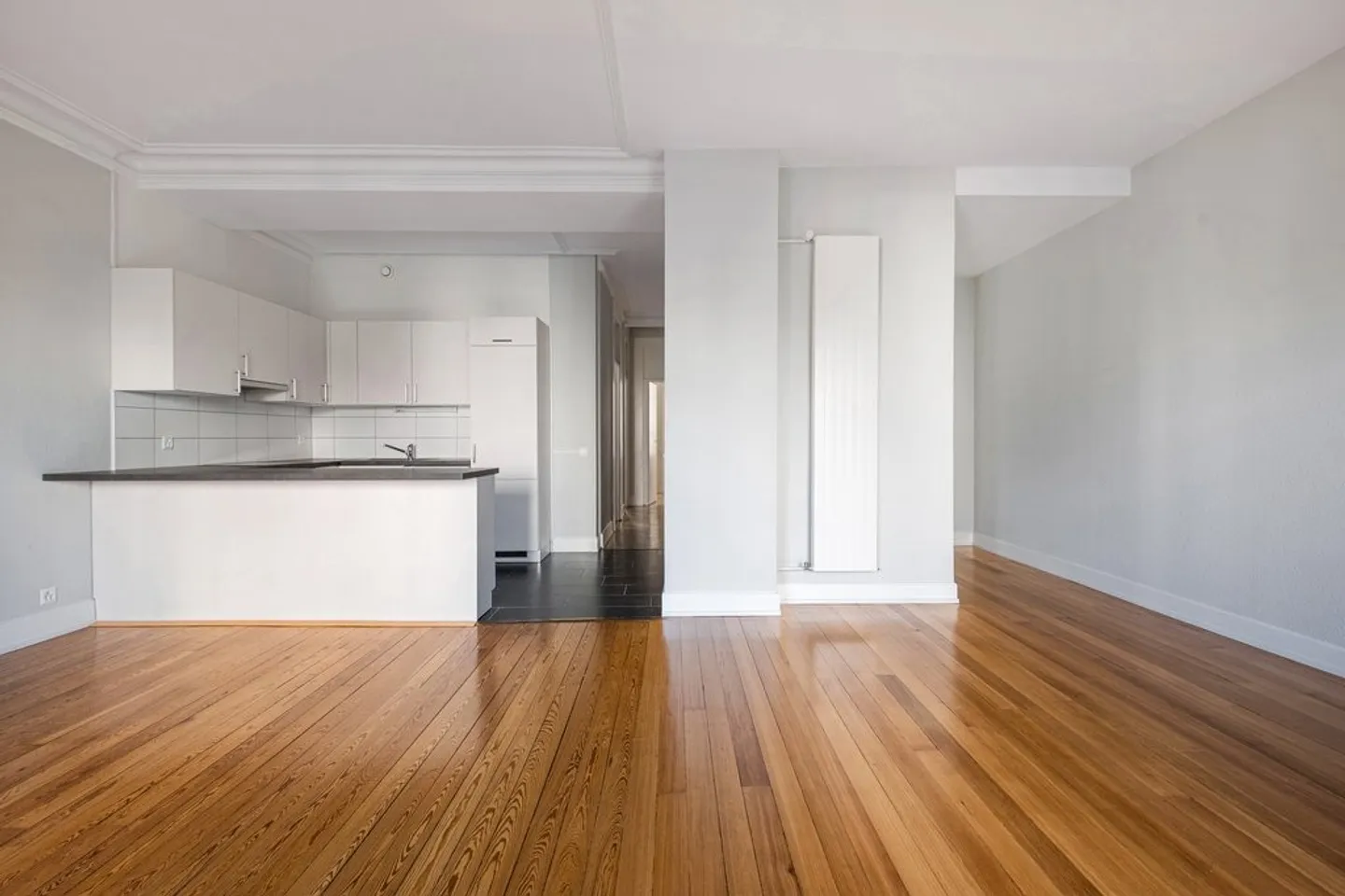Appartement culturel à Genève - Photo 5 sur 12