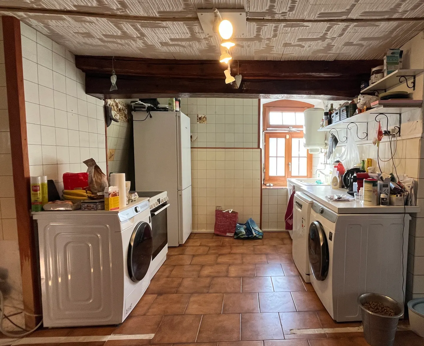 Fattoria Autentica con Progetto - Foto 6 di 14