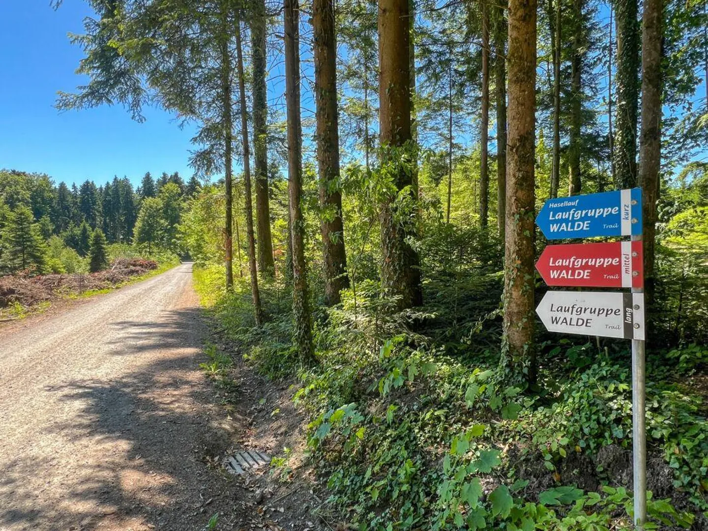 Ruedertalblick - Arrivare a casa, sentire la natura, vivere la sicurezza - Foto 5 di 6