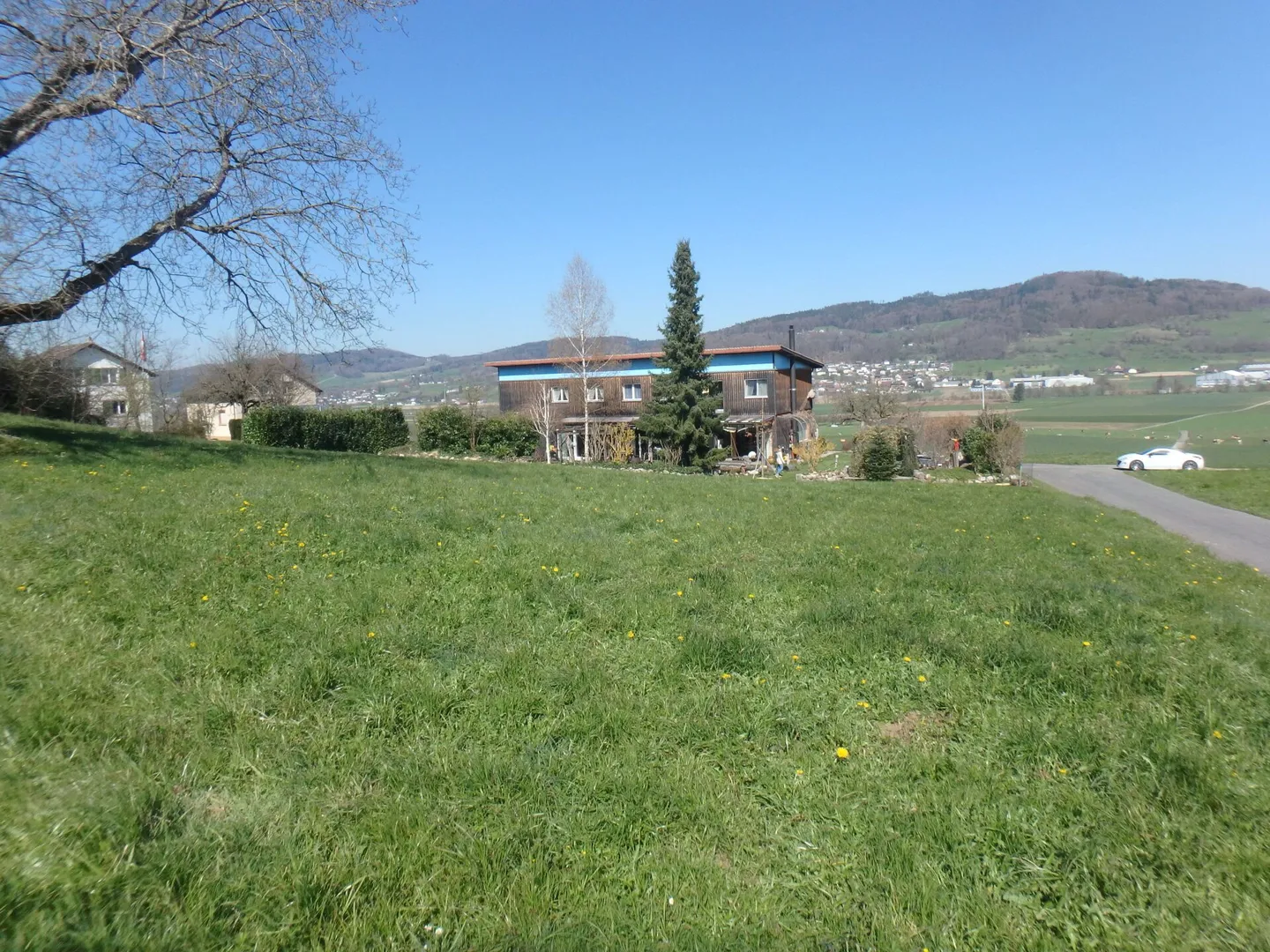 Plot with foresight - Photo 3 of 8